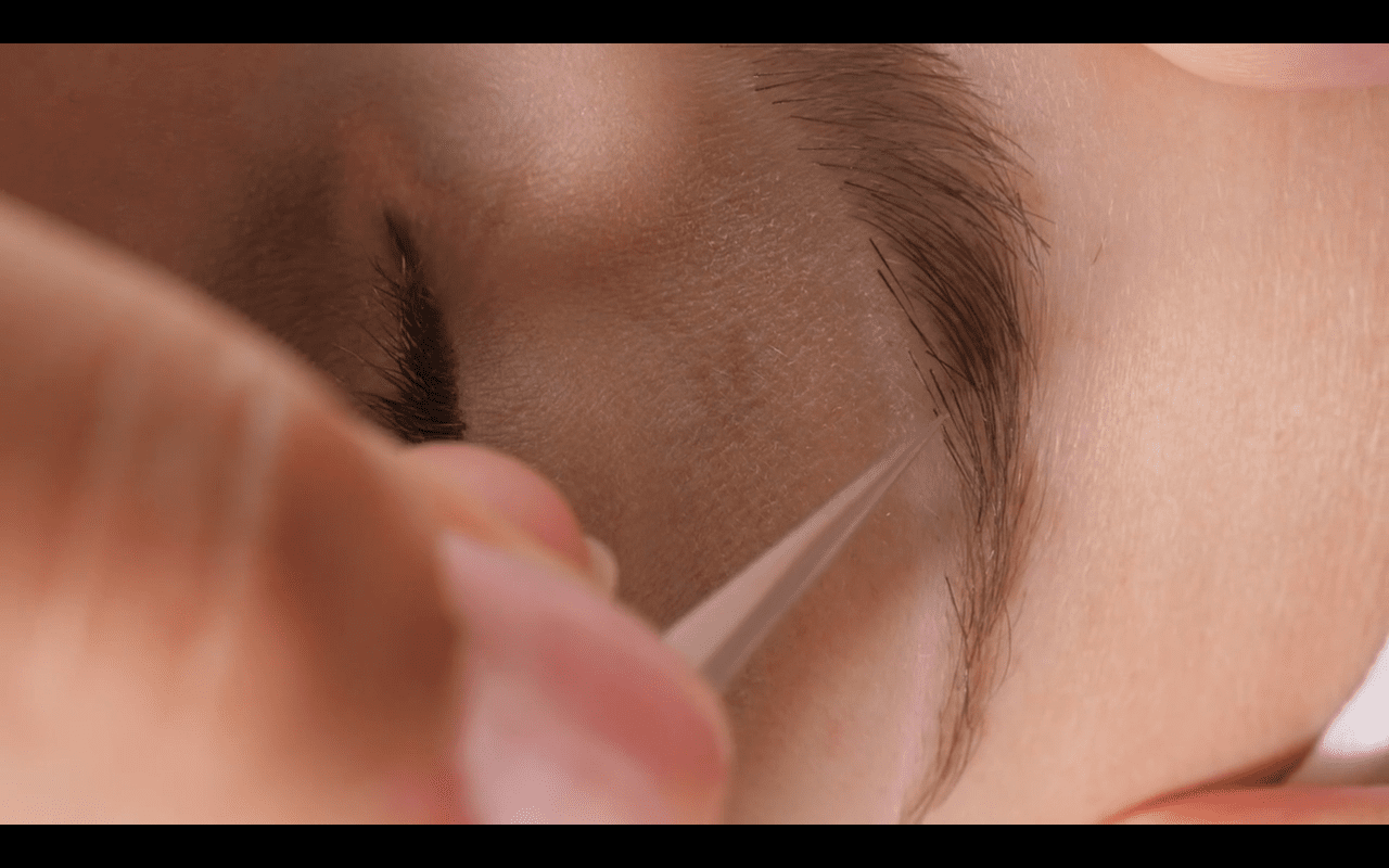 Online eyebrow Extensions Training, No Kit