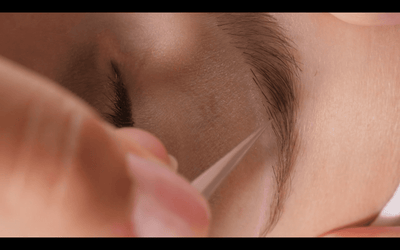 Online eyebrow Extensions Training, No Kit