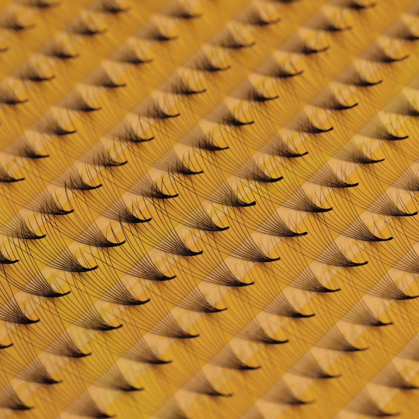 .05 Pro-Made Volume Fans 8D